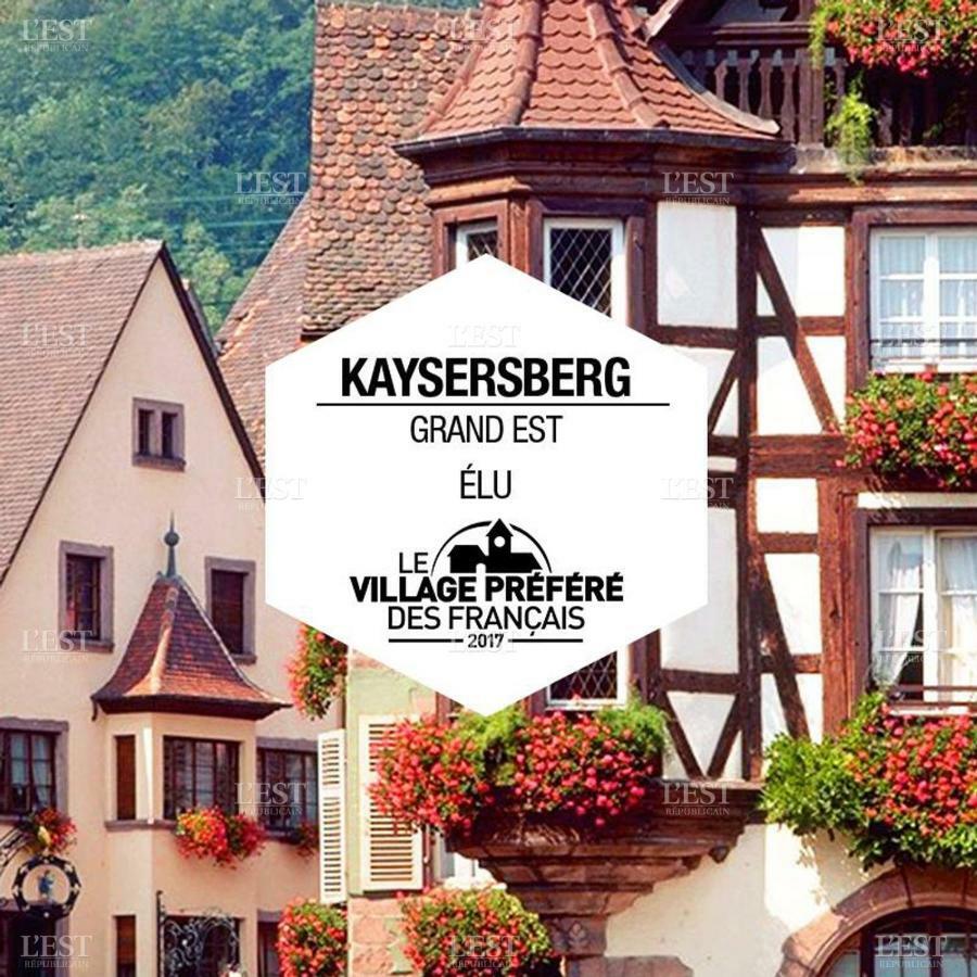 Venez Loger Chez L'Habitant Au Centre De L'Alsace, A Cote D'Europa Park ! Hotell Marckolsheim Exteriör bild